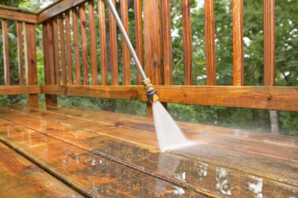 Best Window and Screen Pressure Cleaning in Urania, LA